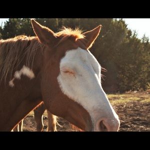 Meet your Posher, Tracy